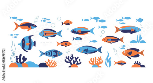 Colorful flat illustration of various fish and coral on a white background with blue and orange hues.