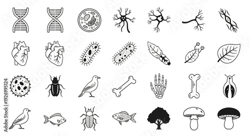 Collection of biological and scientific icons displayed in grid format on white background, various illustrations