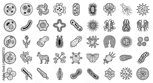 Collection of various microorganisms and cells illustrated in a grid layout, featuring bacteria and viruses.