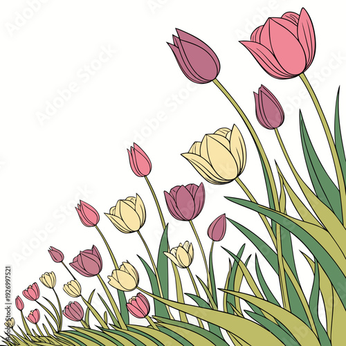 A colorful illustration of tulips in a garden bed