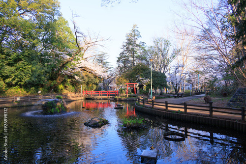 与野公園の弁天池の風景