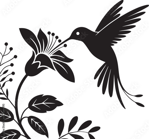 Hummingbird feeding from flower, delicate nature illustration