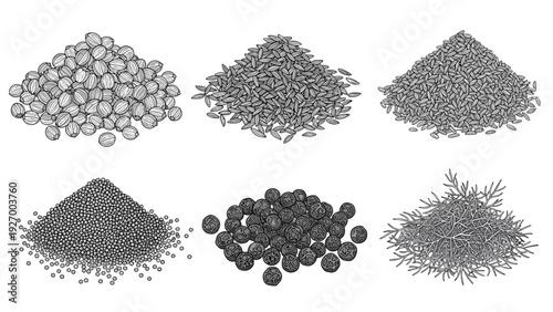 Set of six black and white line art piles of different grains, spices, and pepper seeds for agricultural themes.
