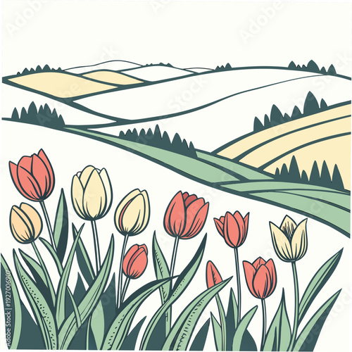 A colorful field of tulips in a rolling landscape