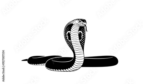 Create a stylized decorative vector illustration of a cobra with expanded hood and coiled body. Use clean geometric shapes and bold contrasting colors. Add subtle pattern details on the hood for visua
