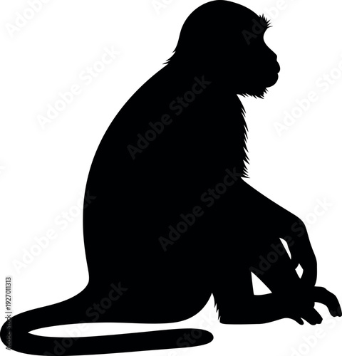 Monkey Silhouette Vector Isolated on White Background for Graphic Design and Print