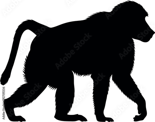 Baboon Silhouette Isolated on White Background – Vector Illustration for Wildlife and Nature Design