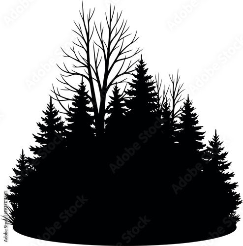 Silhouette of Pine and Deciduous Trees Forest Vector Illustration Isolated on White