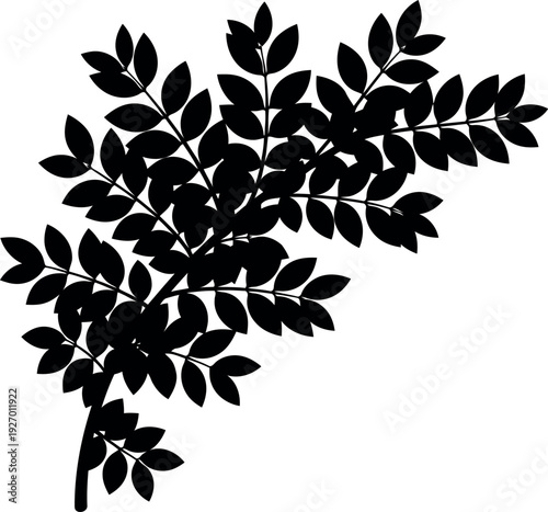 Black Silhouette of Leafy Branch Vector Illustration Isolated on White Background
