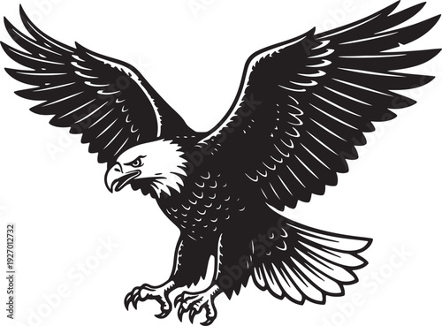 Black and white bald eagle in flight with wings spread wide also transparent background bird raptor predator