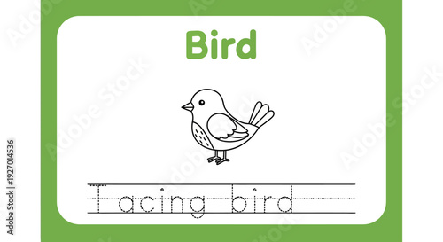 Cute bird coloring page for kids, bird tracing worksheet