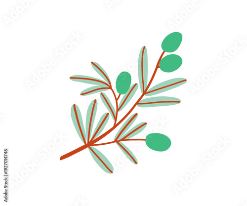 Flat doodle green branch olives. Hand drawn bold illustration.