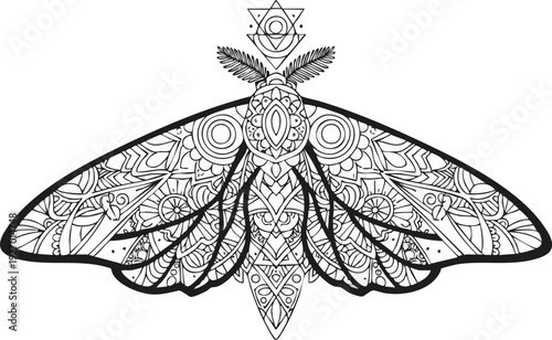 Hand drawn butterfly with intricate patterns and designs, illustrated from a front viewpoint