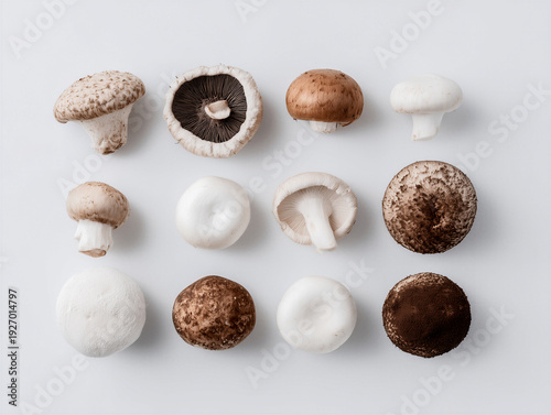 Wallpaper Mural grid layout of different edible mushrooms neatly arranged on a white background Torontodigital.ca