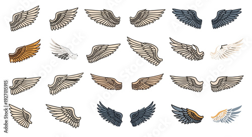 Set of wings icons. Wings icons. . Wing collection in different shape. Wings badges. Vector 