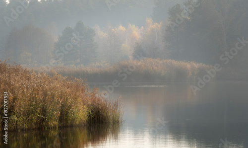 Tableau sur toile Serene Autumn Lake Landscape with Morning Mist and Reeds