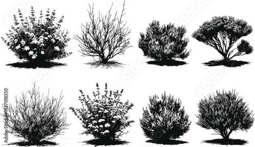 Bush and shrub silhouette collection, detailed garden plants and decorative foliage isolated on white background, flat vector illustration
