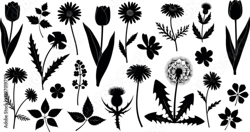 Spear, polearm, halberd, pike, medieval, silhouette, weapon, infantry, military, ancient, fantasy, vector, icon, combat, battle, Medieval weapon, spear silhouette, ancient polearm, infantry pike, halb