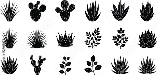 Cactus and succulent silhouettes set, desert plants and botanical leaves collection isolated on white background, nature flat vector illustration