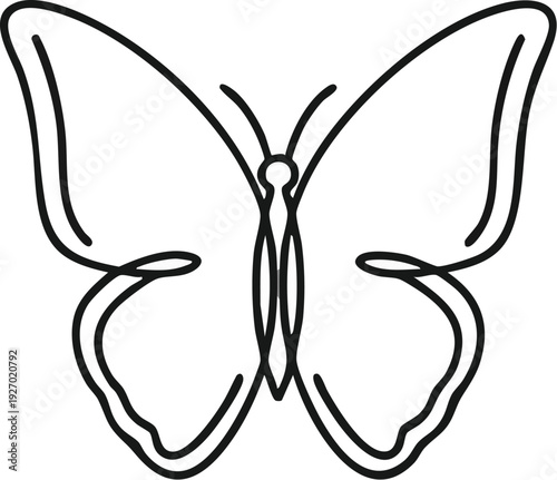Hand drawn butterfly illustration on a clean background from a front viewpoint