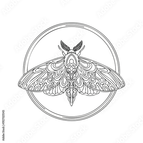 A hand drawn butterfly with intricate designs in a circular frame, showcasing delicate artistry and ornate patterns.