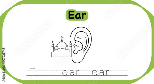 Ear learning worksheet for kids, ear illustration