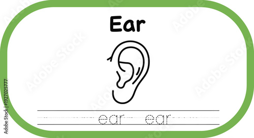 Ear tracing worksheet for kids learning