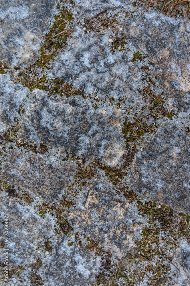 Obraz premium Grey Blue Earthy Brown Textured Abstract Surface Vertical Background - Rough Granular Organic Pattern, Softly Frosted Appearance, Subtle Naturalistic Detail, Ideal for Copy Space