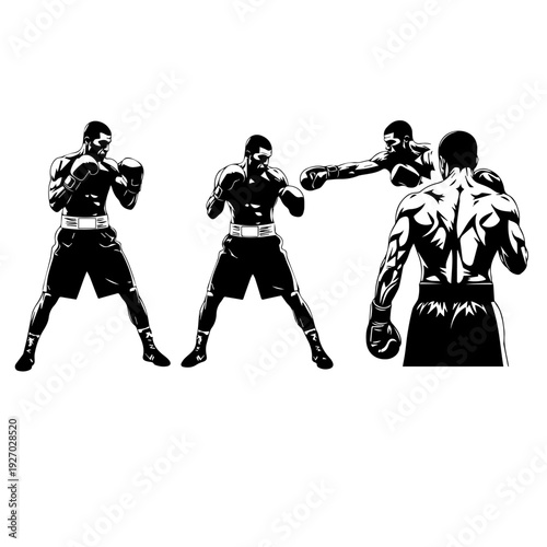 "A high-contrast black and white vector illustration set of a muscular boxer in various dynamic poses, including a defensive stance, a forward-facing ready position, and a mid-punch action shot from t