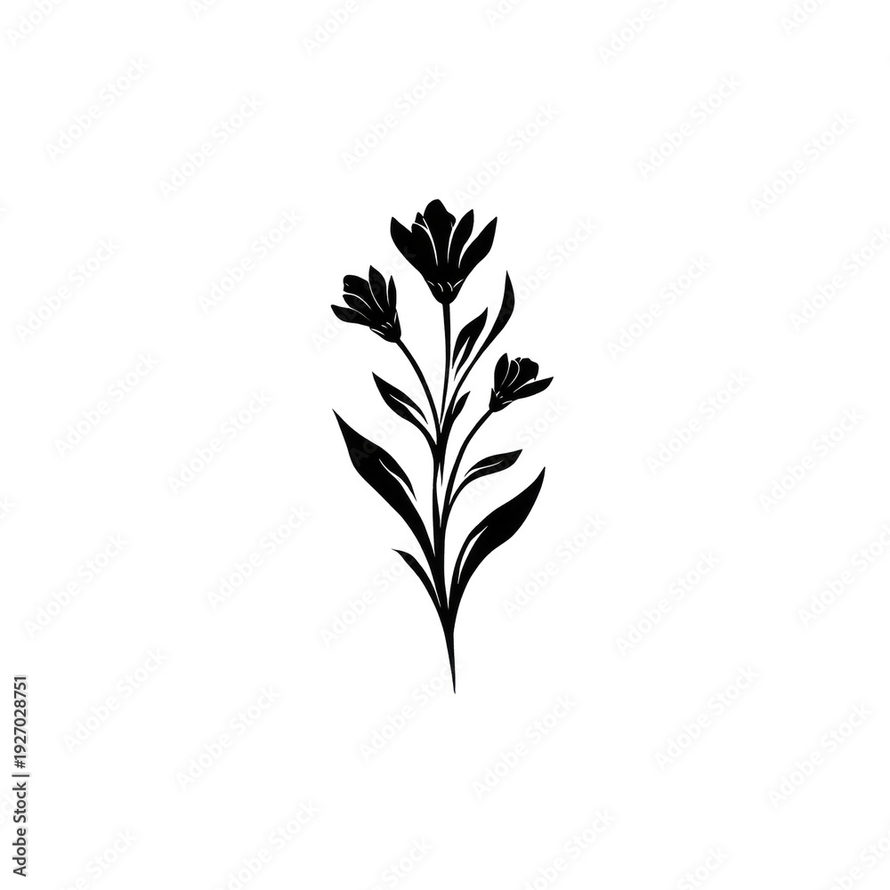 Fototapeta premium A delicate black and white floral illustration against a stark black background