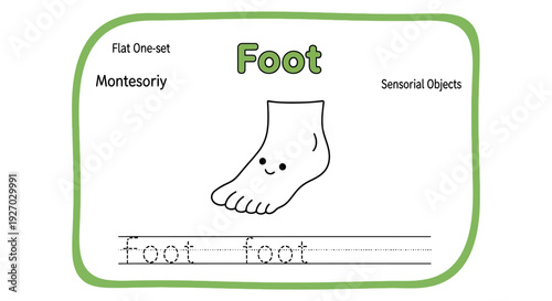 Foot Anatomy Montessori Sensorial Object Card