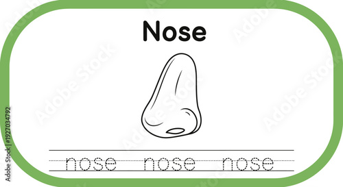 Nose Anatomy Worksheet for Kids Education