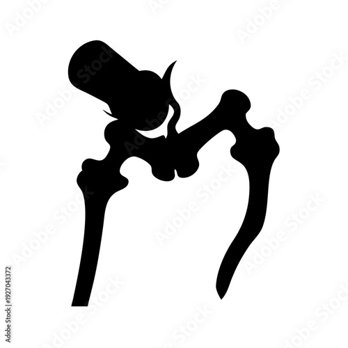 Detailed silhouette of human hip bones with femur