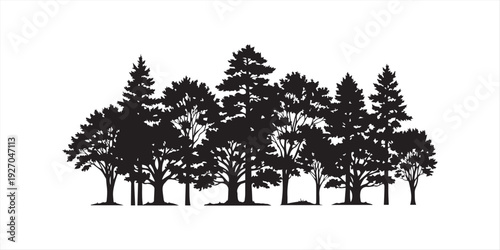 Collection of detailed vector tree silhouettes for landscape design and nature illustrations, white background