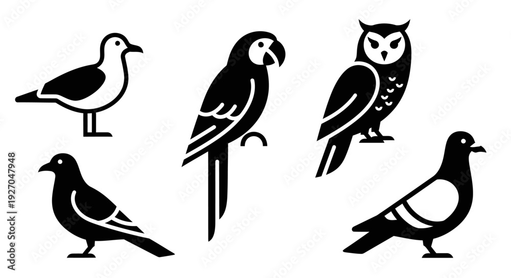 Fototapeta premium Diverse Bird Icons Collection: Seagull, Parrot, Owl, and Pigeons Silhouettes