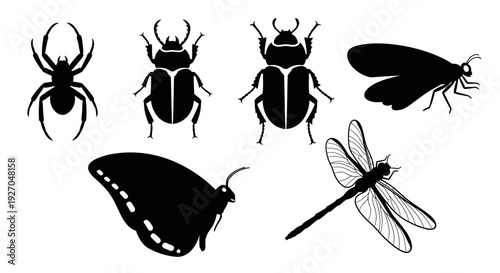 Insect and Bug Silhouettes Collection: Spider, Beetles, Butterfly, Dragonfly, and Moth Set
