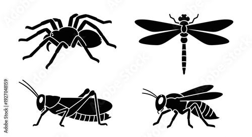 Insect and Bug Silhouettes Collection: Spider, Dragonfly, Grasshopper, Wasp Icons