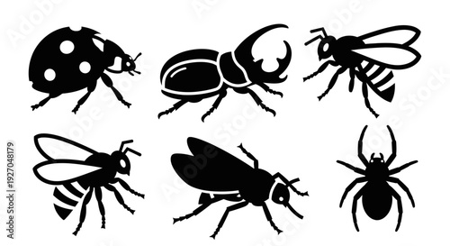 Insect and Bug Silhouettes Set: Ladybug, Beetle, Bee, Fly, Spider Icons Collection