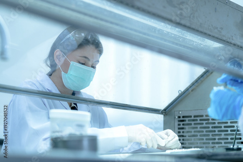 Canvastavla Clinical embryologist manipulating gamete specimens for in vitro fertilization (ivf) procedure