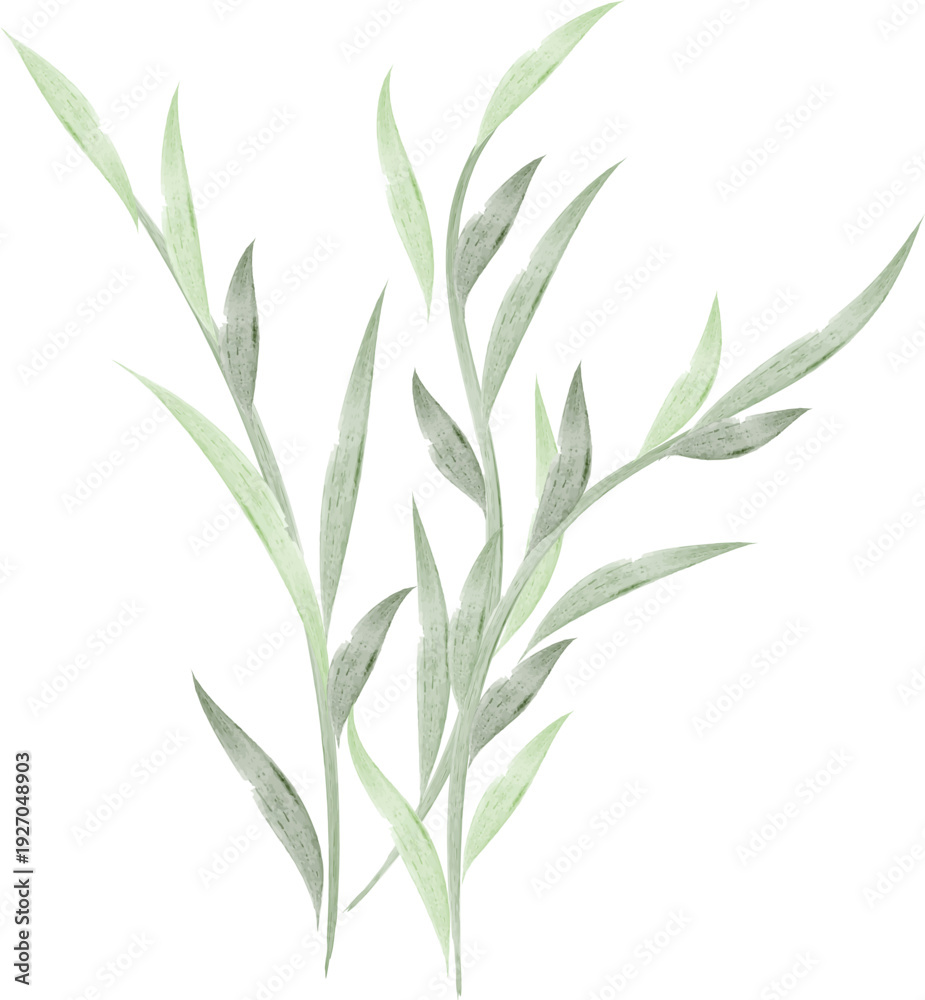 Fototapeta premium Watercolor green leaves and grass, hand-painted botanical illustration, natural foliage, delicate floral artwork, isolated on white background