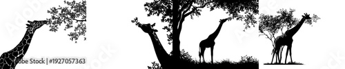 Whimsical Silhouette of Giraffe and Tree