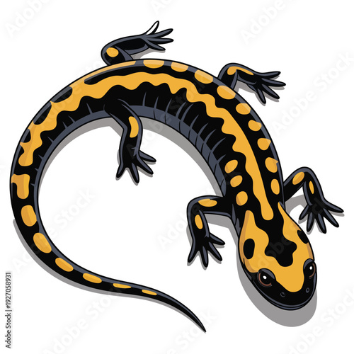 Fire salamander illustration with yellow spots on black body for wildlife and nature design isolated on transparent background with shadow effect for educational and scientific biology art