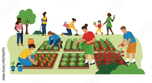 Diverse Group Working in Community Garden. Urban Farming, Volunteering, Planting, and Harvesting Vegetables - Flat Vector Illustration.