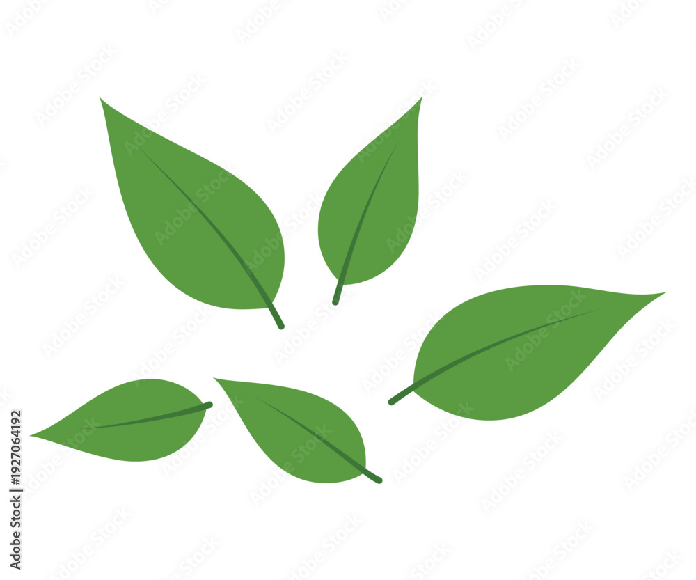 Obraz premium A closeup of fresh green tree leaves and a spring branch foliage isolated on a white background captures the botany and ecology of garden growth with macro life color