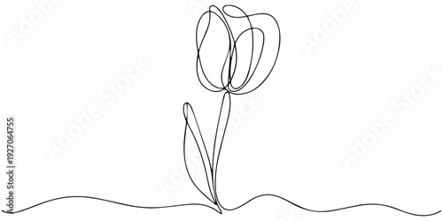continuous one line drawing flower tulip