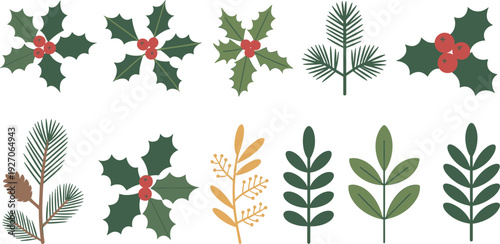Christmas holly leaves and winter plants collection vector illustration festive greenery branches berries pine botanical elements holiday decoration design set
