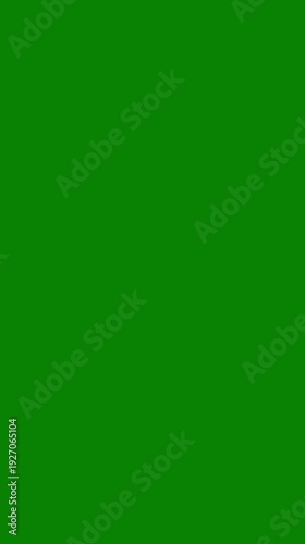 VERTICAL 3d animation golden foil confetti falling, festive celebration burst overlay, colorful circular confetti explosion from both sides, green screen chroma key background, 4K