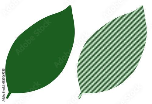 Two green leaves, one solid and one outlined, symbolizing nature and growth