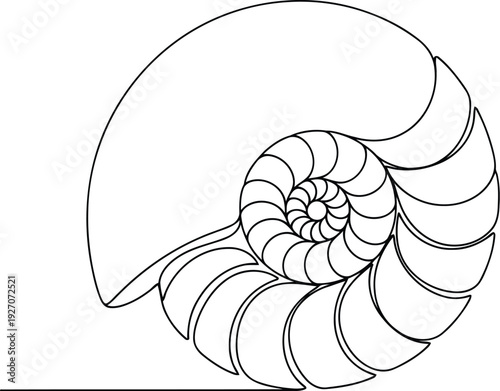 Continuous Line Nautilus Shell Spiral – Minimalist Golden Ratio Fibonacci Nature Icon