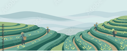 Flat vector illustration of a traditional tea plantation on misty hillsides with workers harvesting tea leaves in terraced green fields, scenic mountain landscape, agricultural farming scene.